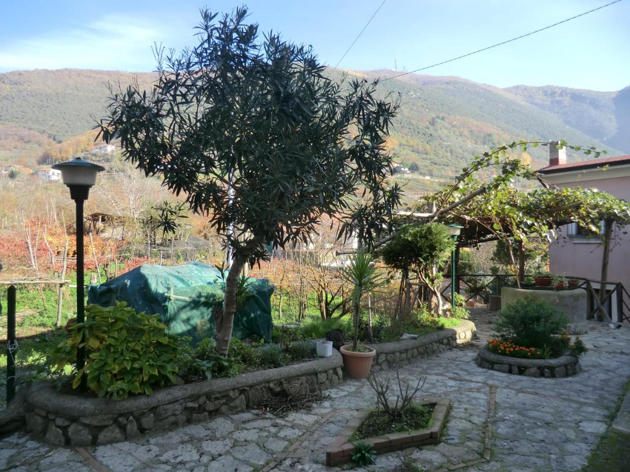 Agriturismo Mare E Monti Pensionat Tramonti Exteriör bild